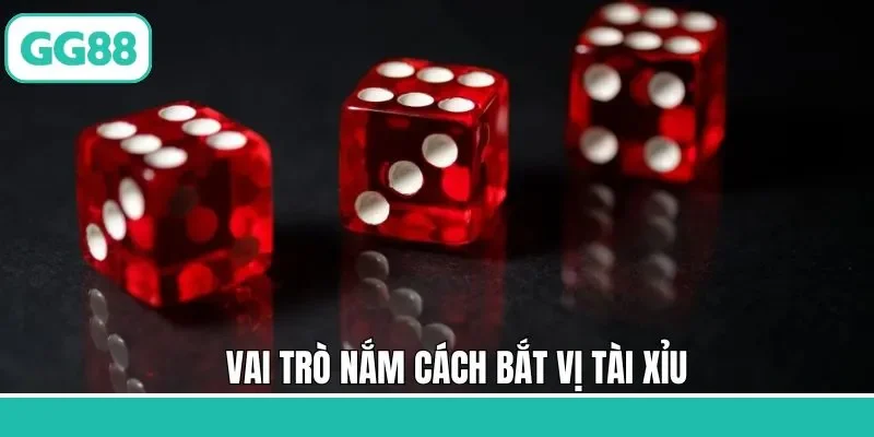 Sự hữu ích khi tham khảo bắt vị tài xỉu